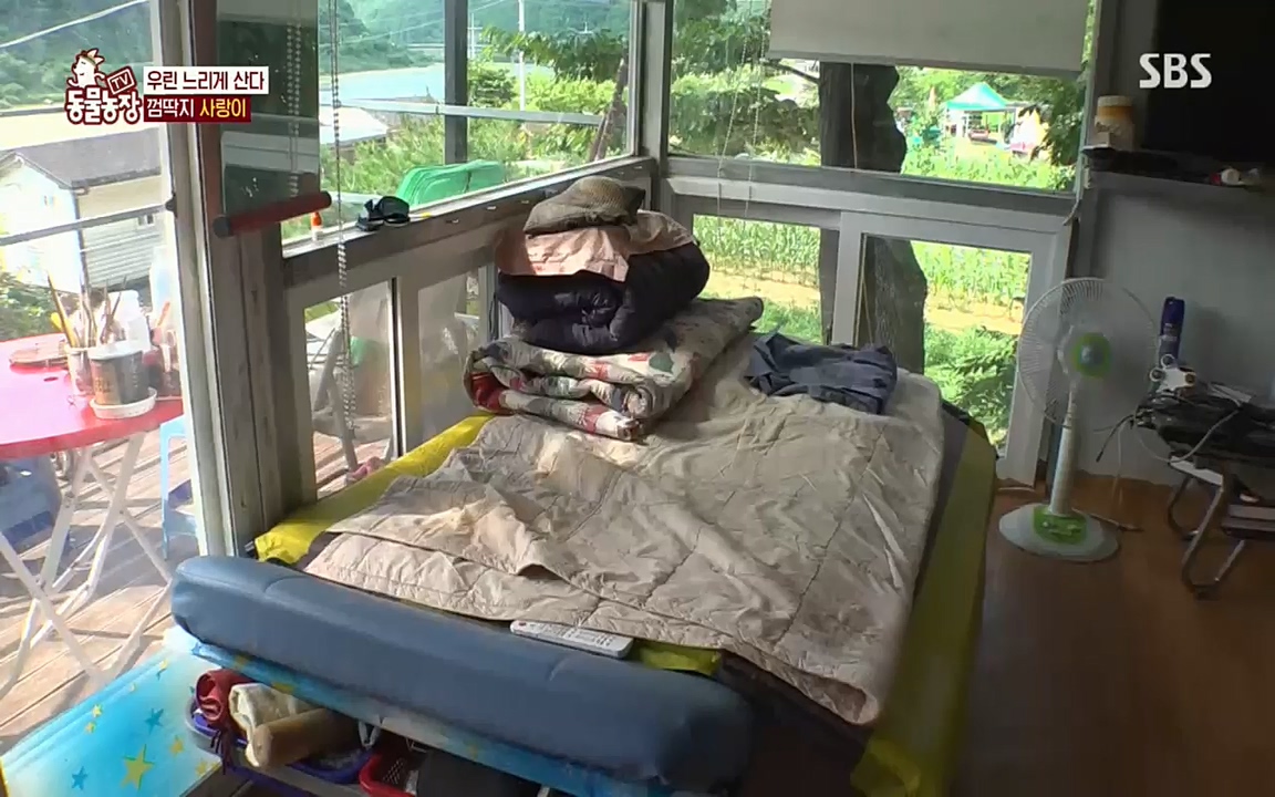 TV 동물농장.E1076.220704p.H264-F1RST.mp4_20220703_175555.259.jpg