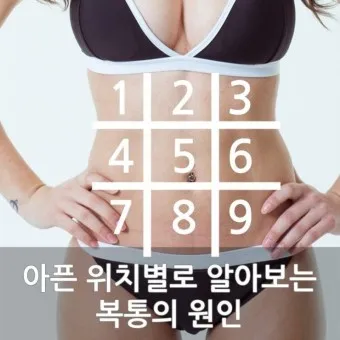왼쪽 아랫배 통증 움질일때 콕콕 땡김_12