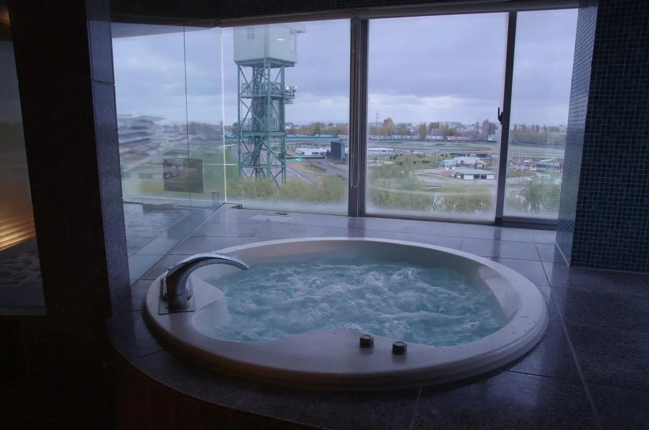 Blue Hotel OCTA