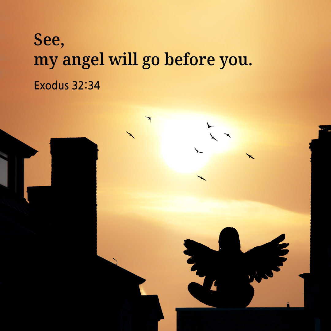 See&#44; my angel will go before you. (Exodus 32:34)