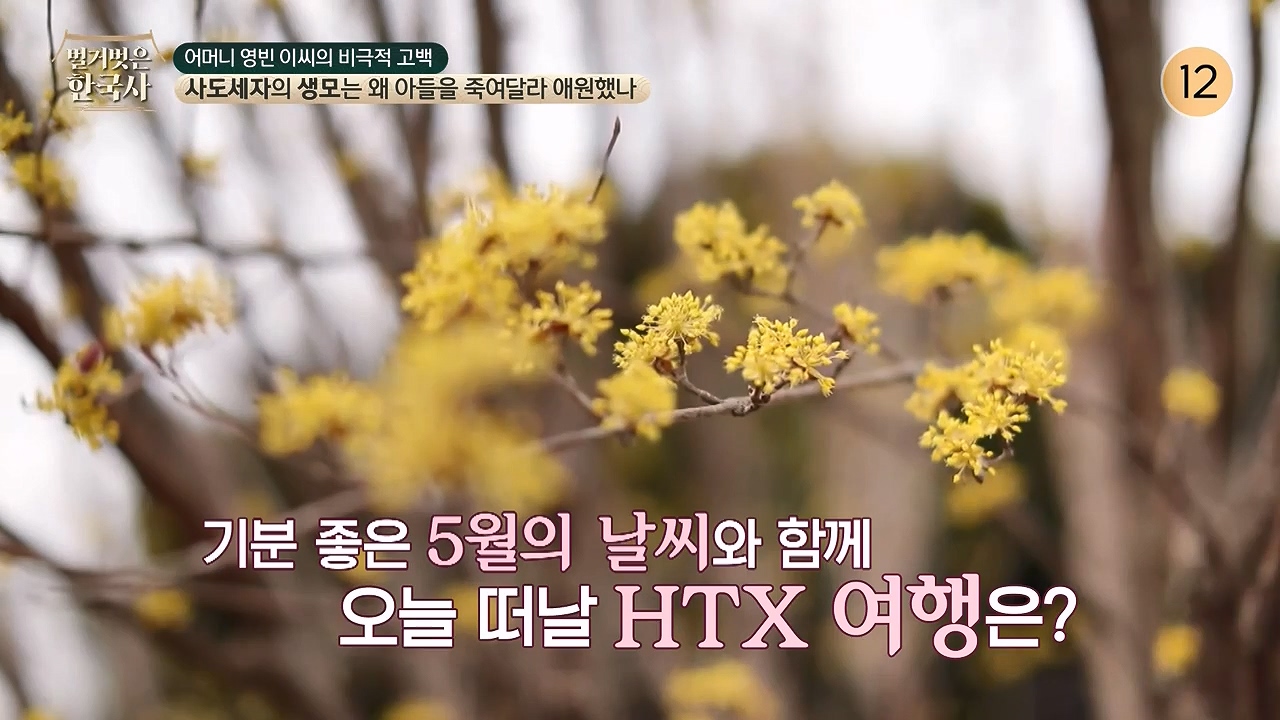 벌거벗은 한국사.E106.240502p-NEXT.mp4_20240622_163152.443.jpg