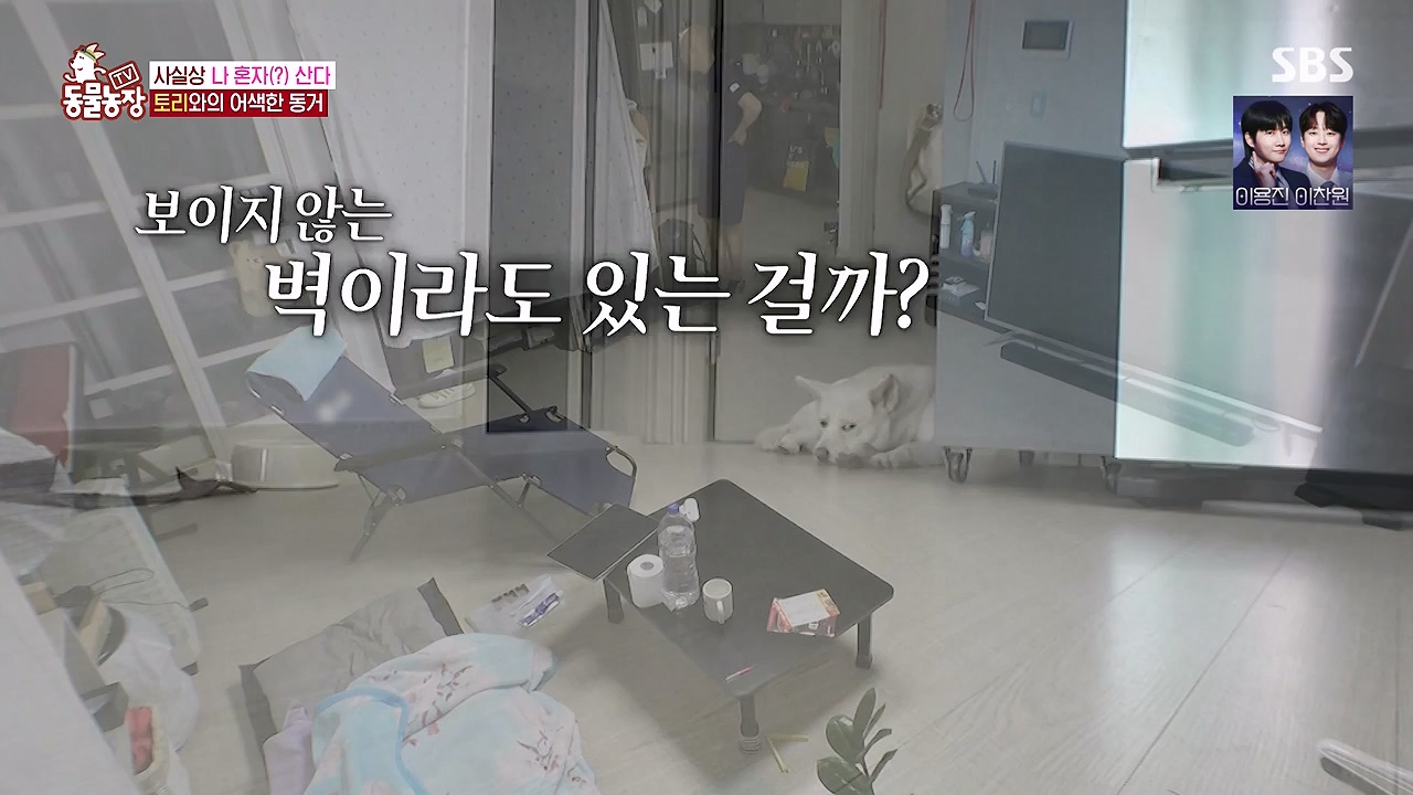 TV 동물농장.E1179.240708p-NEXT.mp4_20240707_160432.552.jpg