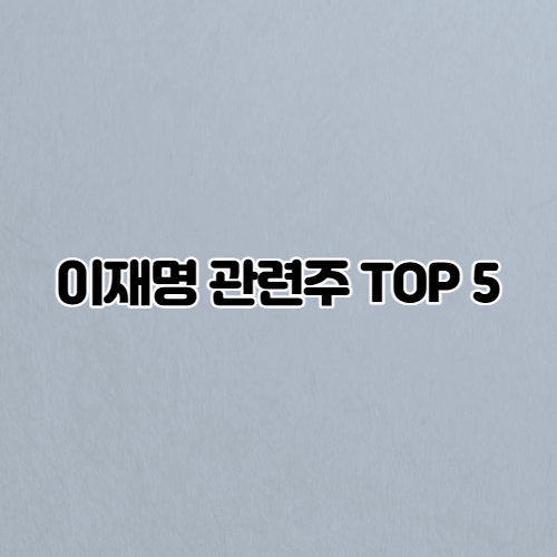  이재명 관련주 TOP 5