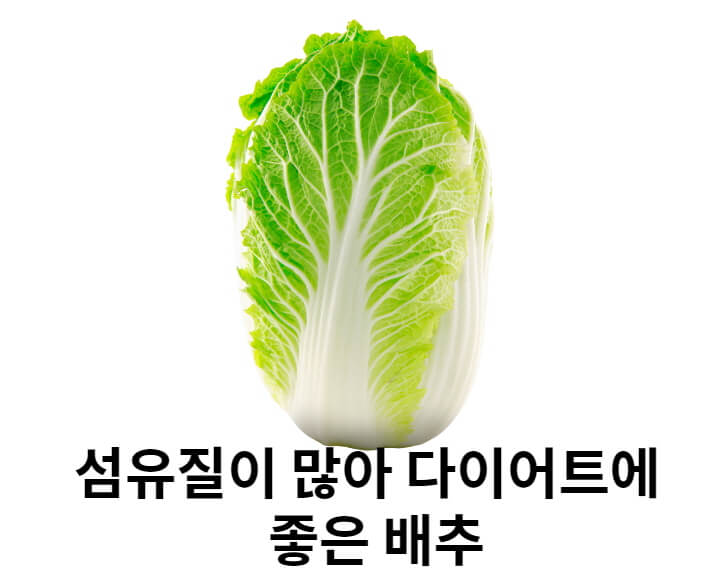 배추효능