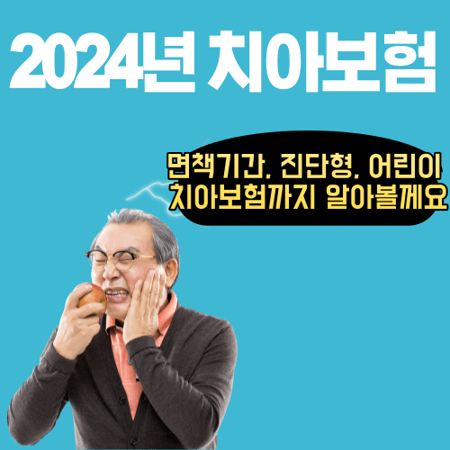 2024년 치아보험