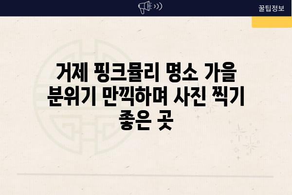 거제 핑크뮬리 명소 가을 분위기 만끽하며 사진 찍기 좋은 곳