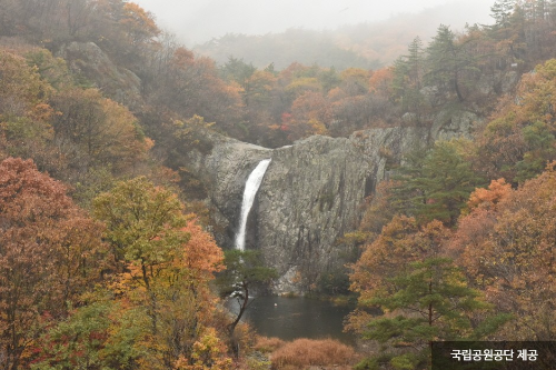 변산반도