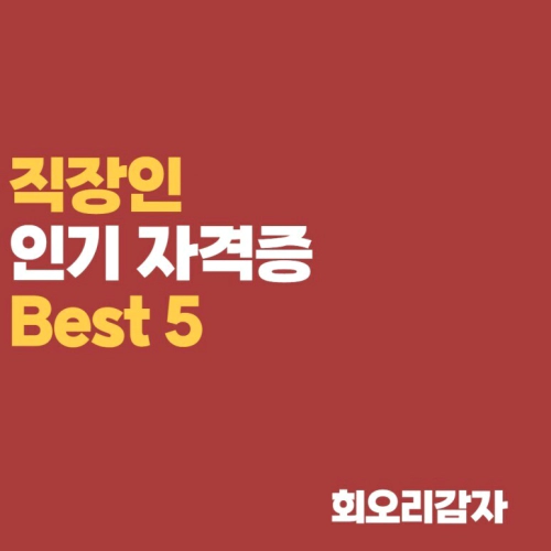  직장인 자격증 추천 인기  TOP 5