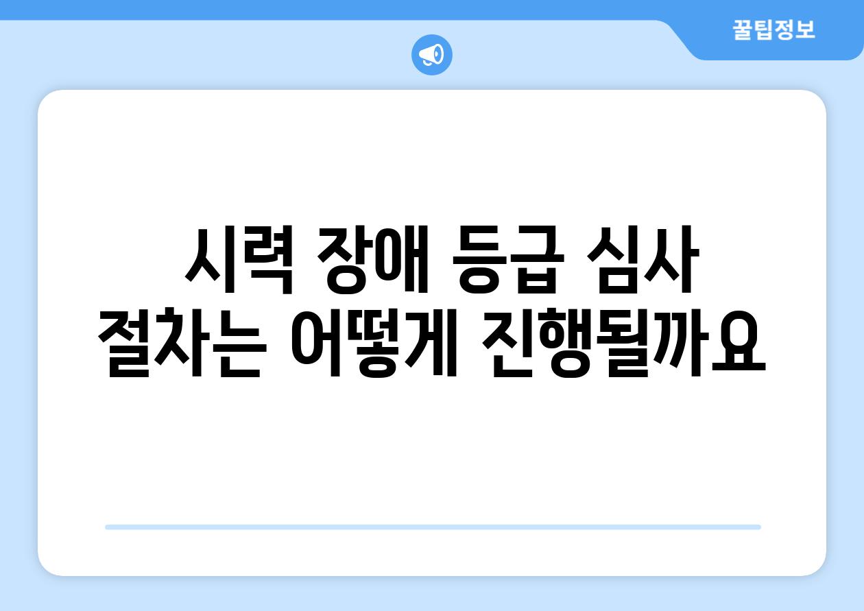  시력 장애 등급 심사 절차는 어떻게 진행될까요