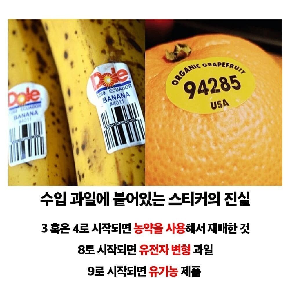  알아두면 좋은것들