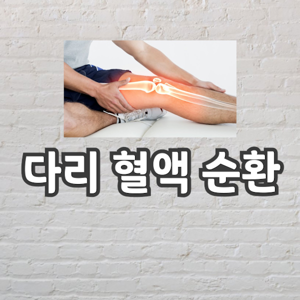 다리 혈액 순환 정보