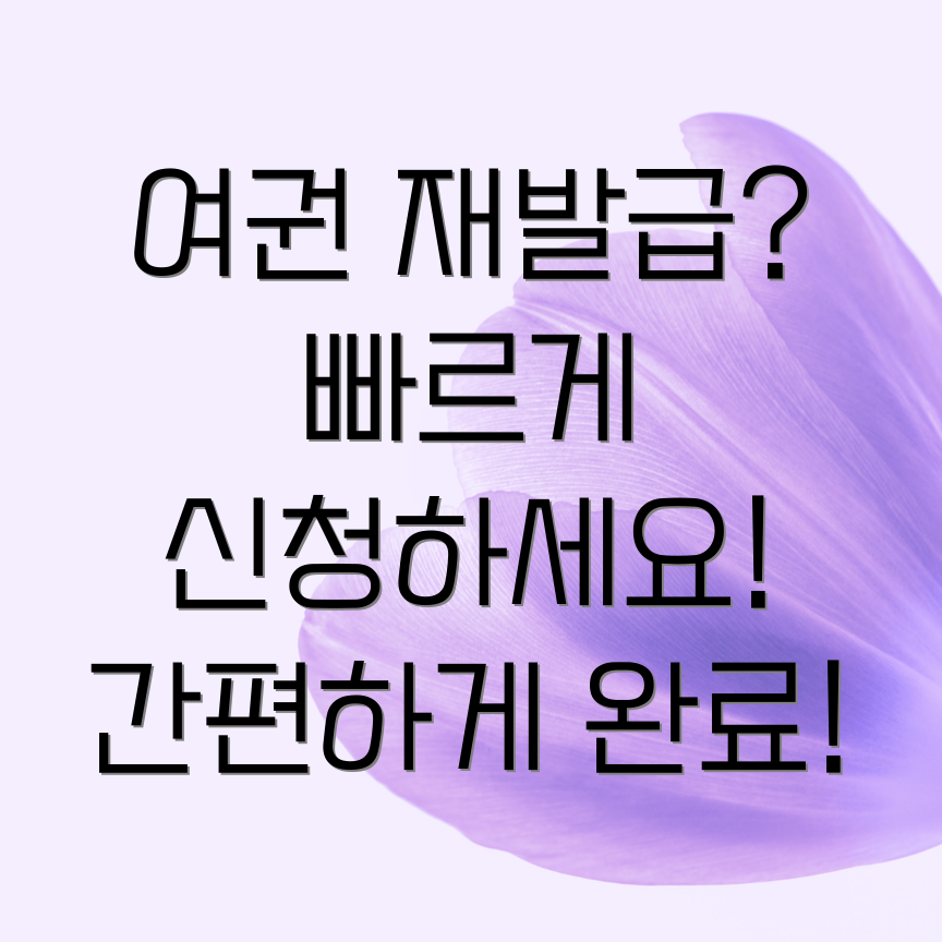 여권 재발급