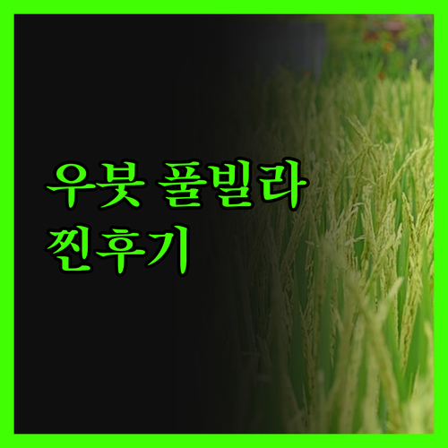 라비나 우붓 빌라 숙박 후기, 자연 