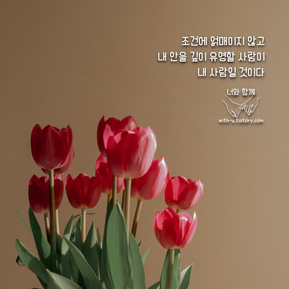  조건 명언 : 짧고 좋은 글귀 : 짧은 명언