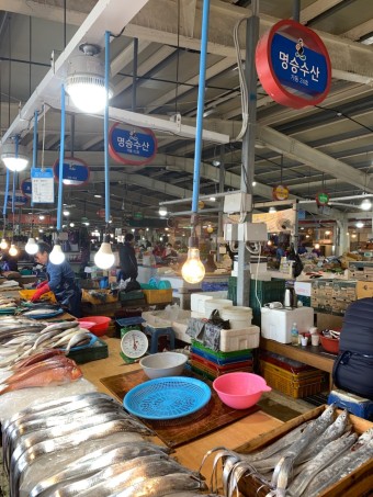세화 이미지