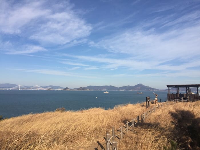 이수도