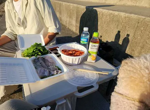 탄도항