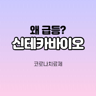  신테카바이오 - 어떤 기업인가요? 급등이유/기업분석