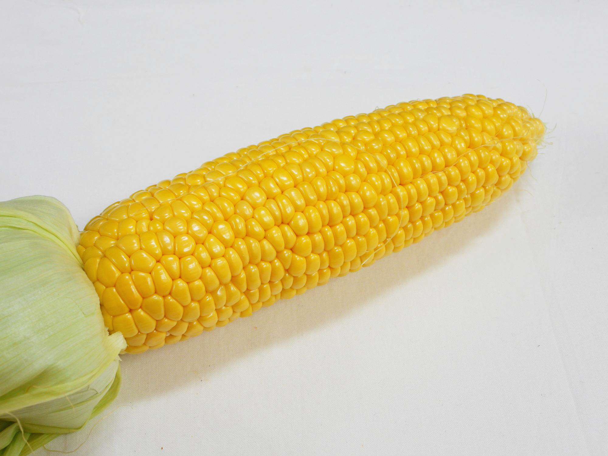  초당옥수수 삶는법