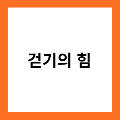 하루 만보 걷기가 가져오는 건강한 삶의 시작(걷기의 힘)