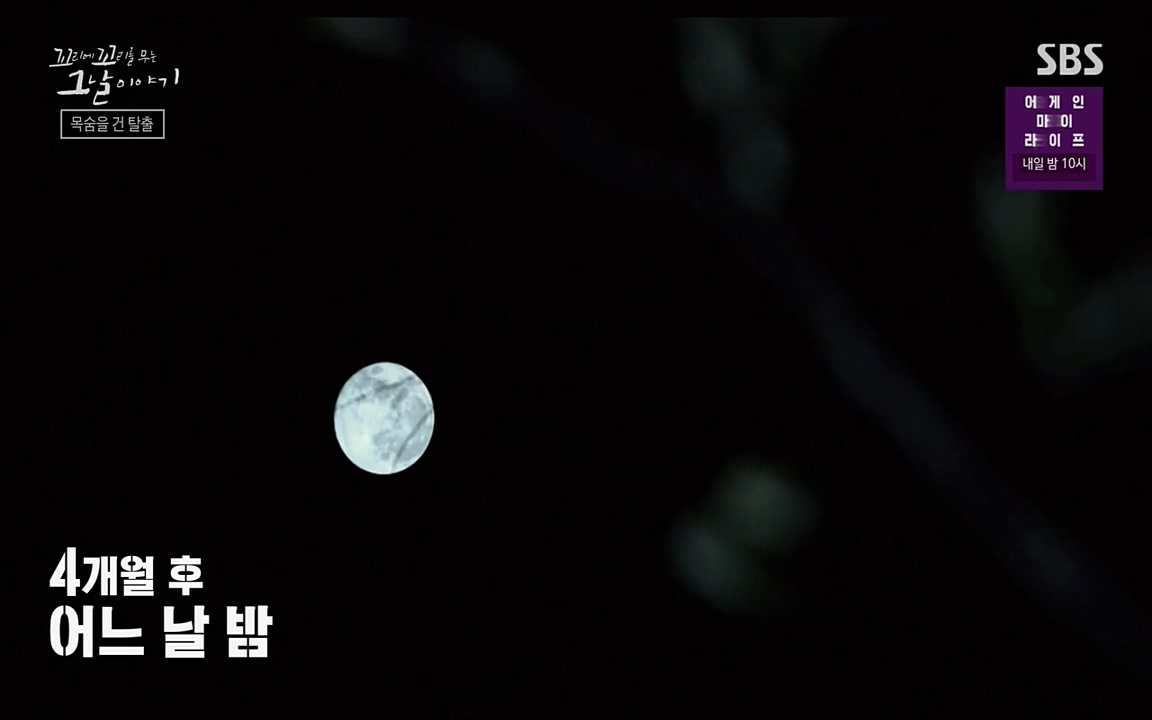 꼬리에 꼬리를 무는 그날 이야기.E24.220415p-NEXT.mp4_20220416_194743.467.jpg