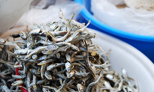 관상동맥질환에 좋은 음식 10가지