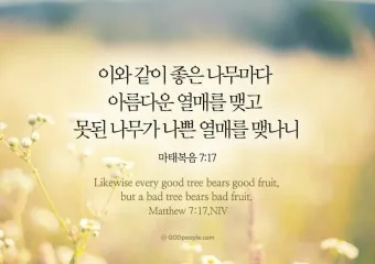 마태복음 7장 설교 주제 교훈 모음_2