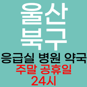 울산 북구 주말 공휴일 약국 병원 응급실 찾기 토요일 일요일 야간진료 24시 심야 열린약국 영업시간 진료시간 추천 잘하는곳 수술 긴급