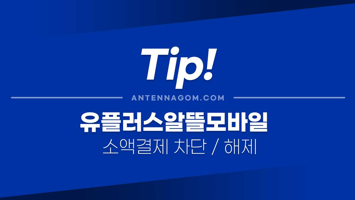 유플러스 알뜰모바일(유알모) 핸드폰 소액결제 차단 / 해제 / 한도 변경 설정 방법 유플러스 알뜰모바일(유알모) 핸드폰 소액결제 차단 / 해제 / 한도 변경 설정 방법