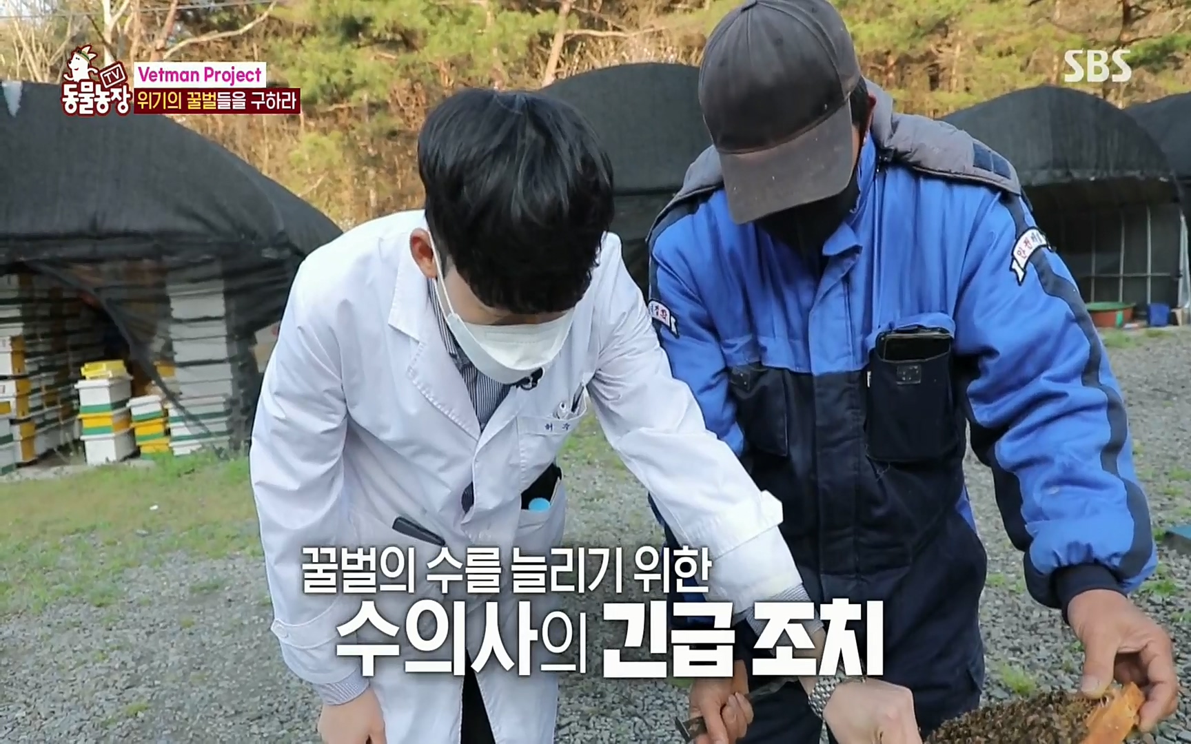 TV 동물농장.E1072.220605p.H264-F1RST.mp4_20220605_181211.948.jpg