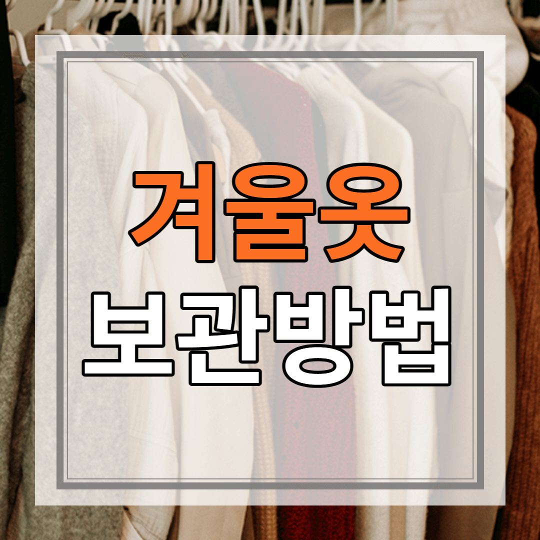 겨울옷 보관 방법