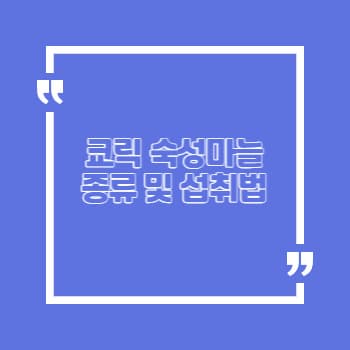 코릭 숙성마늘 종류 섭취방법