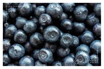 눈에 좋은 음식 블루베리 효능 먹는 5