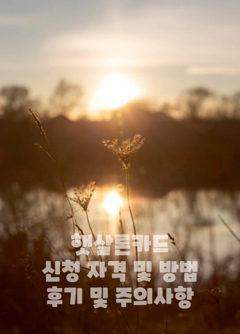 평화로운 아침 햇살