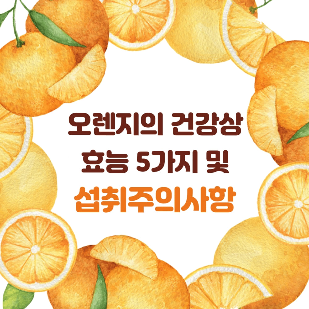 오렌지의 건강상 효능 5가지 및 섭취주의사항 썸네일