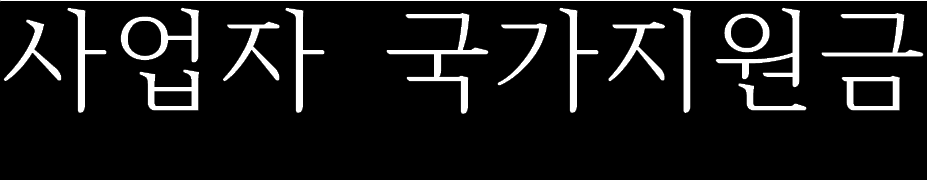  사업자 국가지원금에 대해