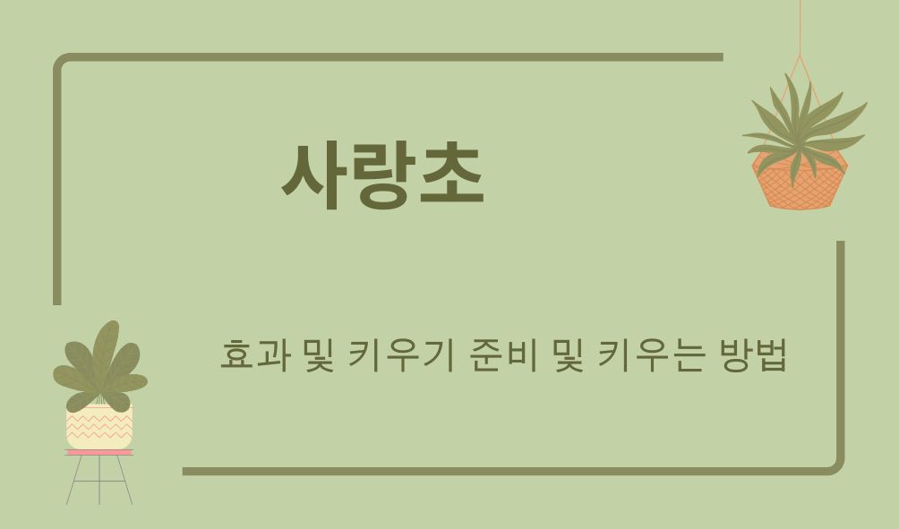 사랑초 포스터