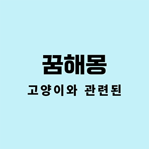 고양이꿈