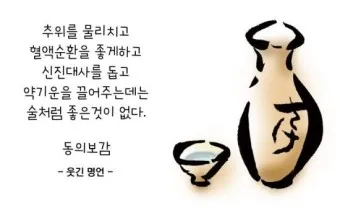 웃긴 명언 모음 웃긴 술명언 100선_17