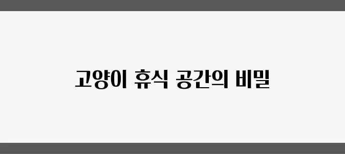 편안한 휴식을 위한 고양이 숨숨집 해먹 추천드립니다.