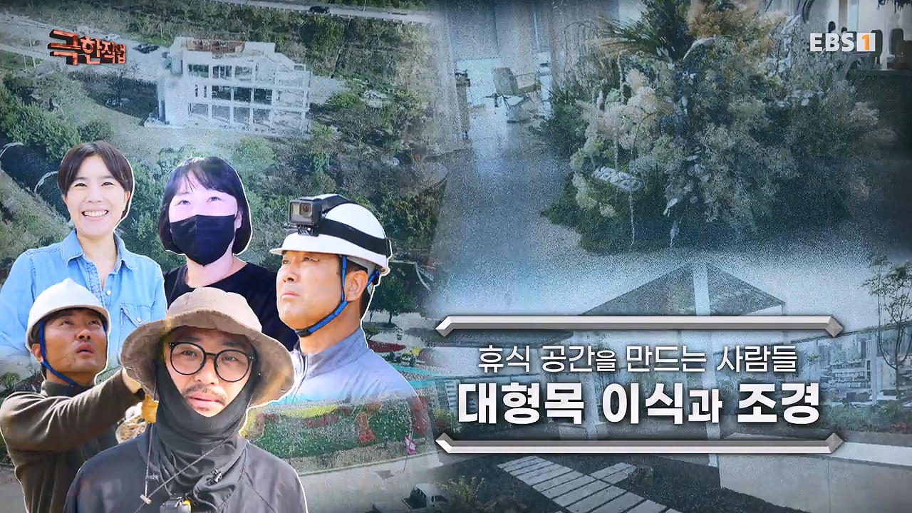 TV - 전 국민의 평생학교 EBS휴식공간을 만드는 사람들, 대형목 이식과 조경.mp4_20240518_155004.651.jpg