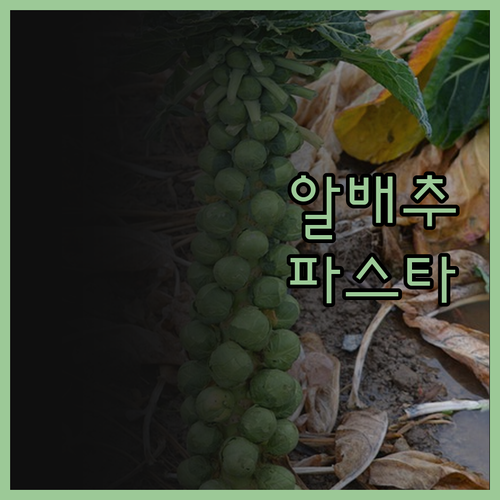 특별한 날 특별한 파스타 알배추 파스