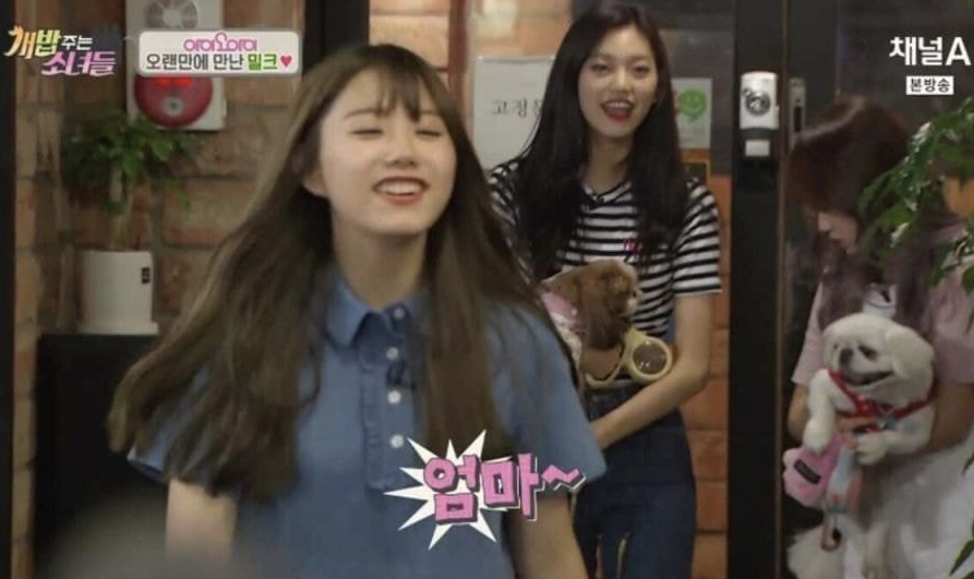  리얼 친누나 반응