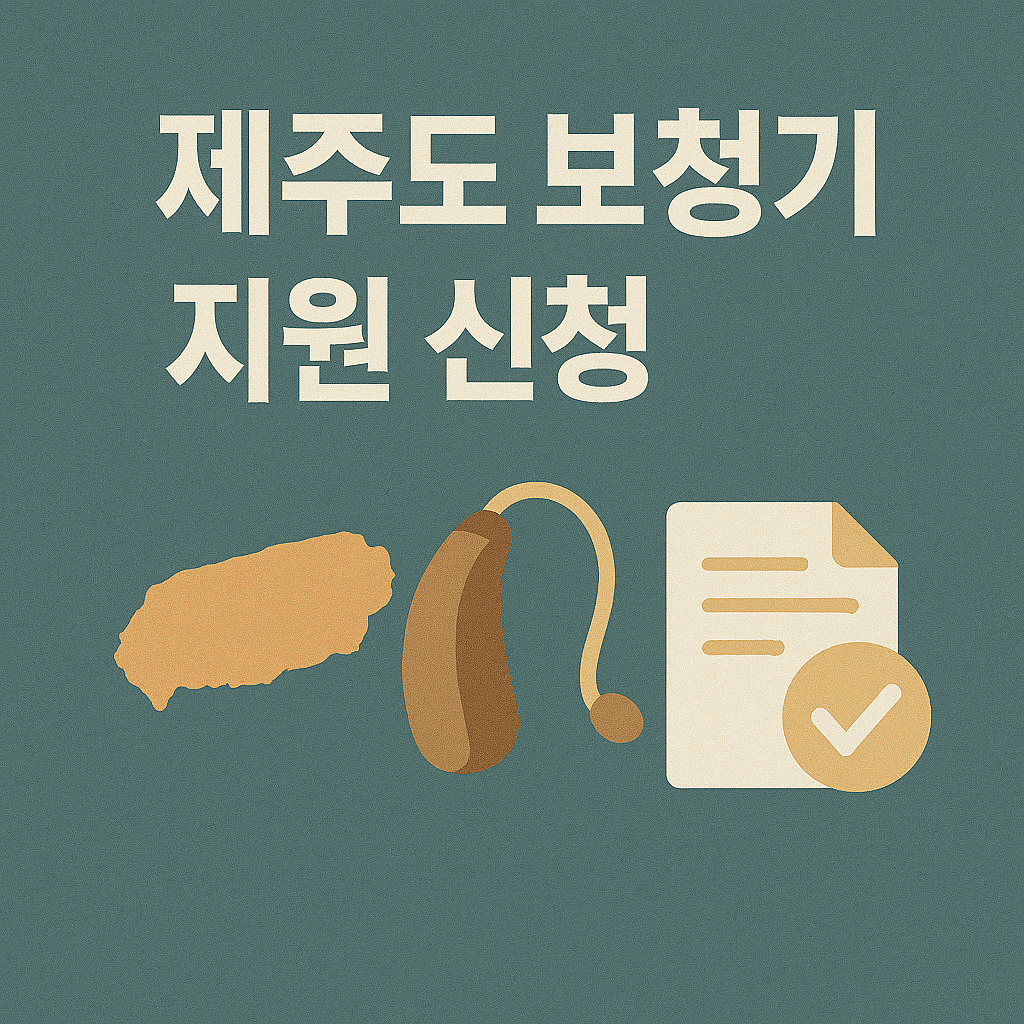 제주 보청기 지원