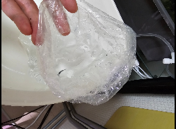 메다카 물맞댐