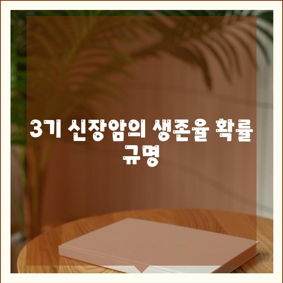 3기 신장암의 생존율 확률 규명