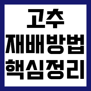 서리태 심는(파종)시기 재배법1