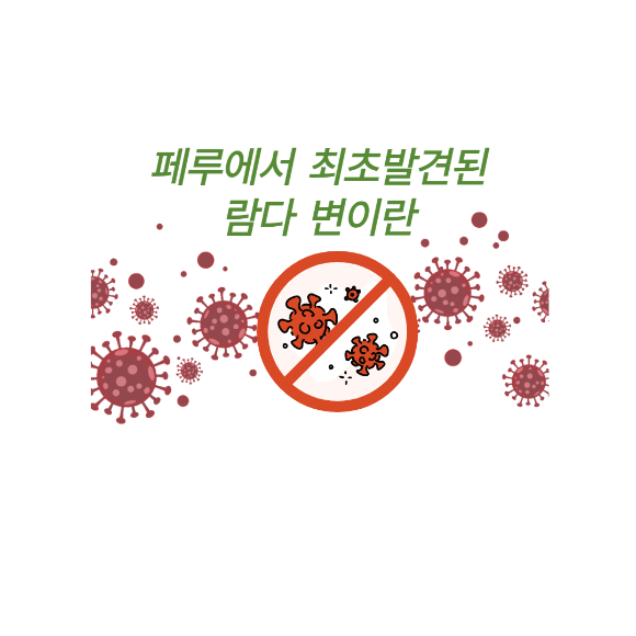  페루에서 최초발견된 람다 변이란