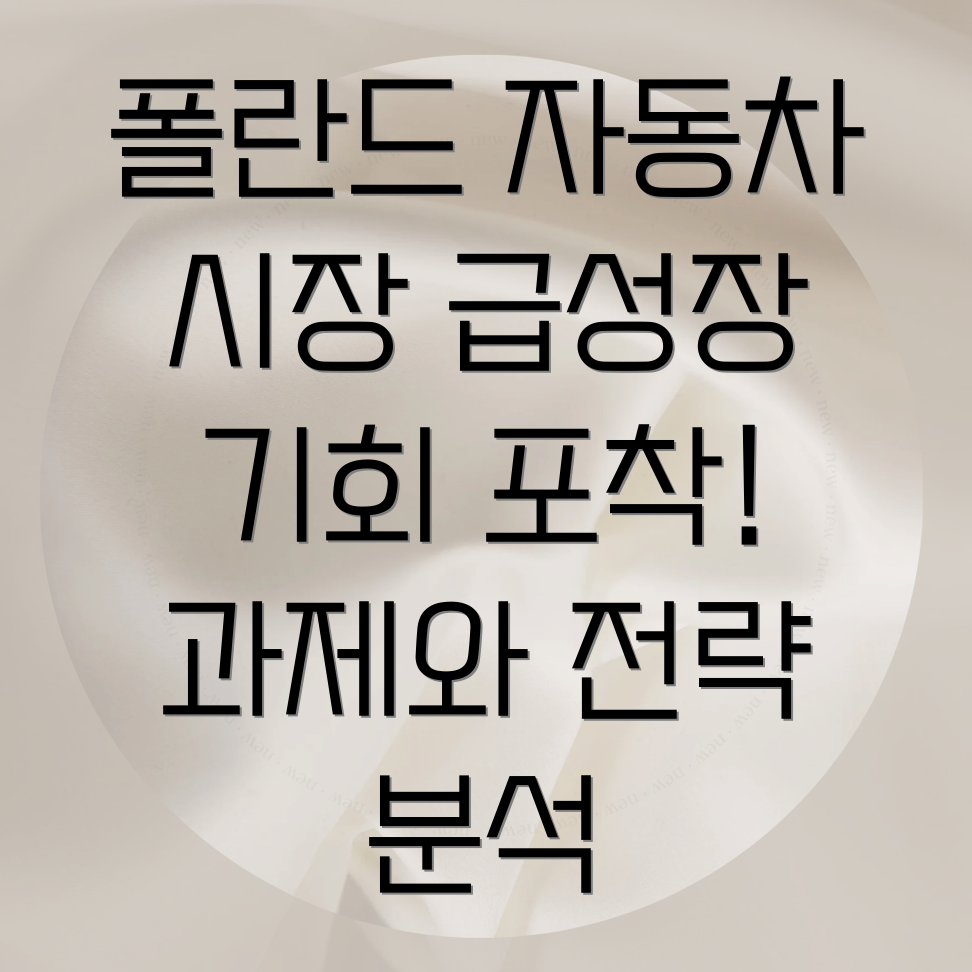 폴란드 자동차 시장