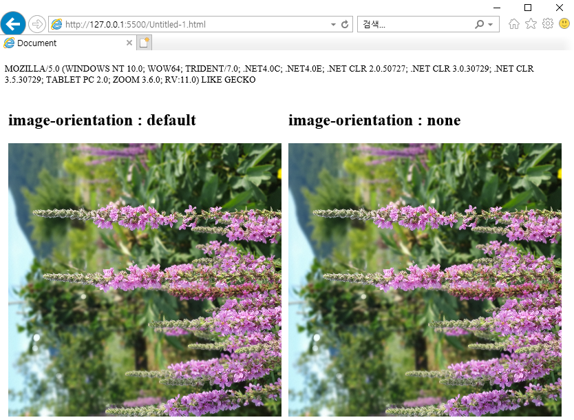 image-orientation in Internet Explorer